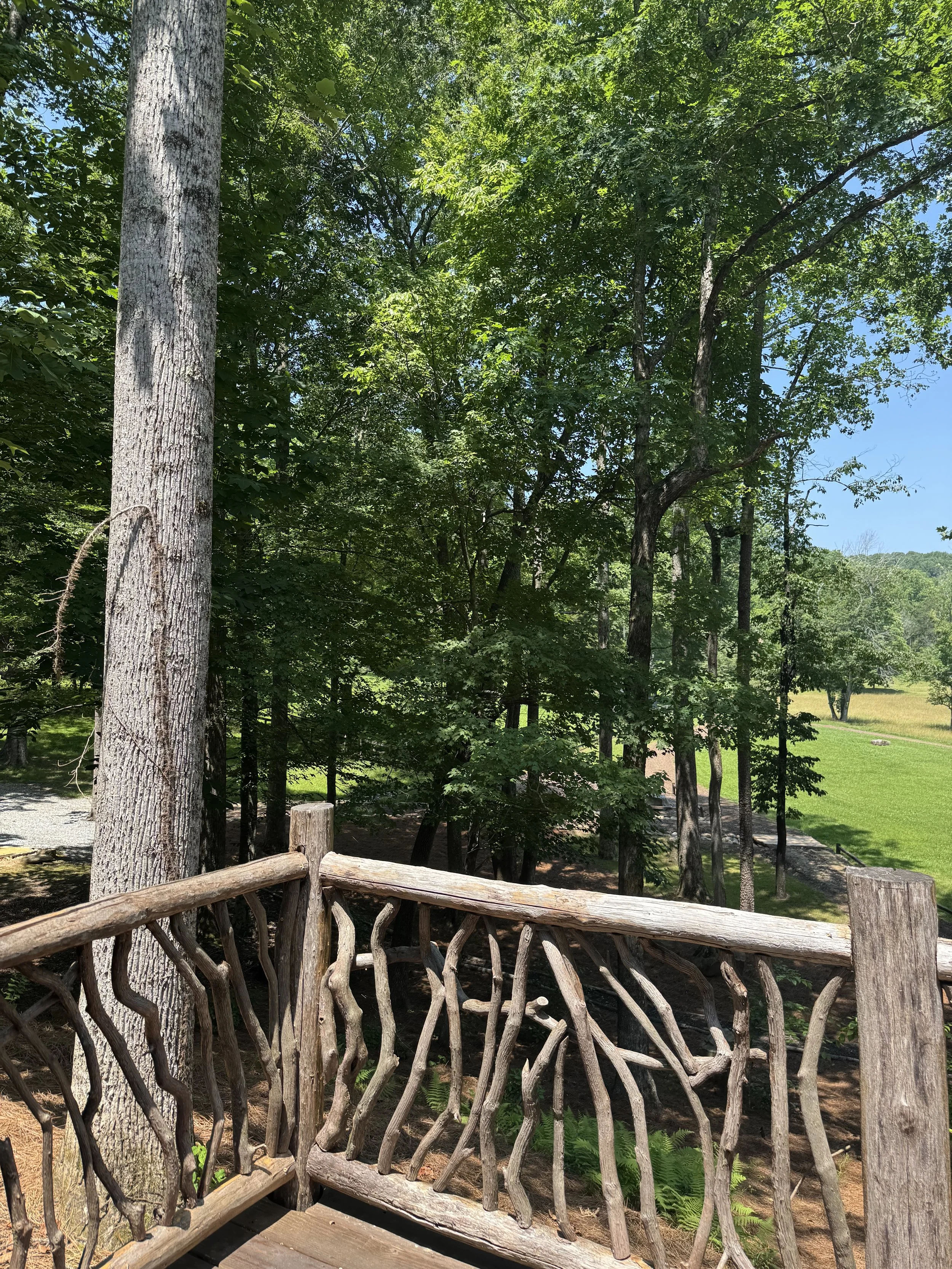 View from Hilltop porch