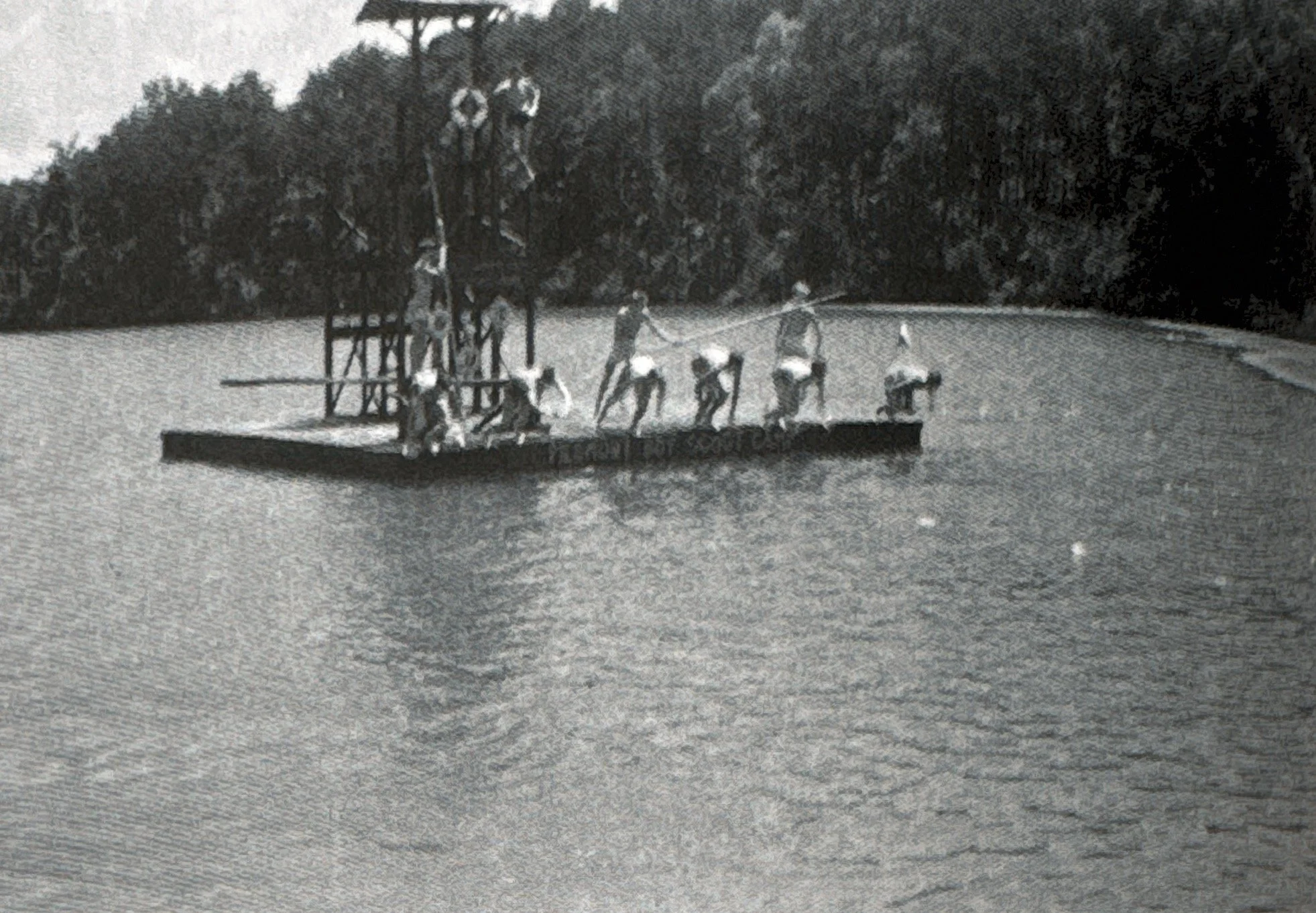 Field Day swim race event