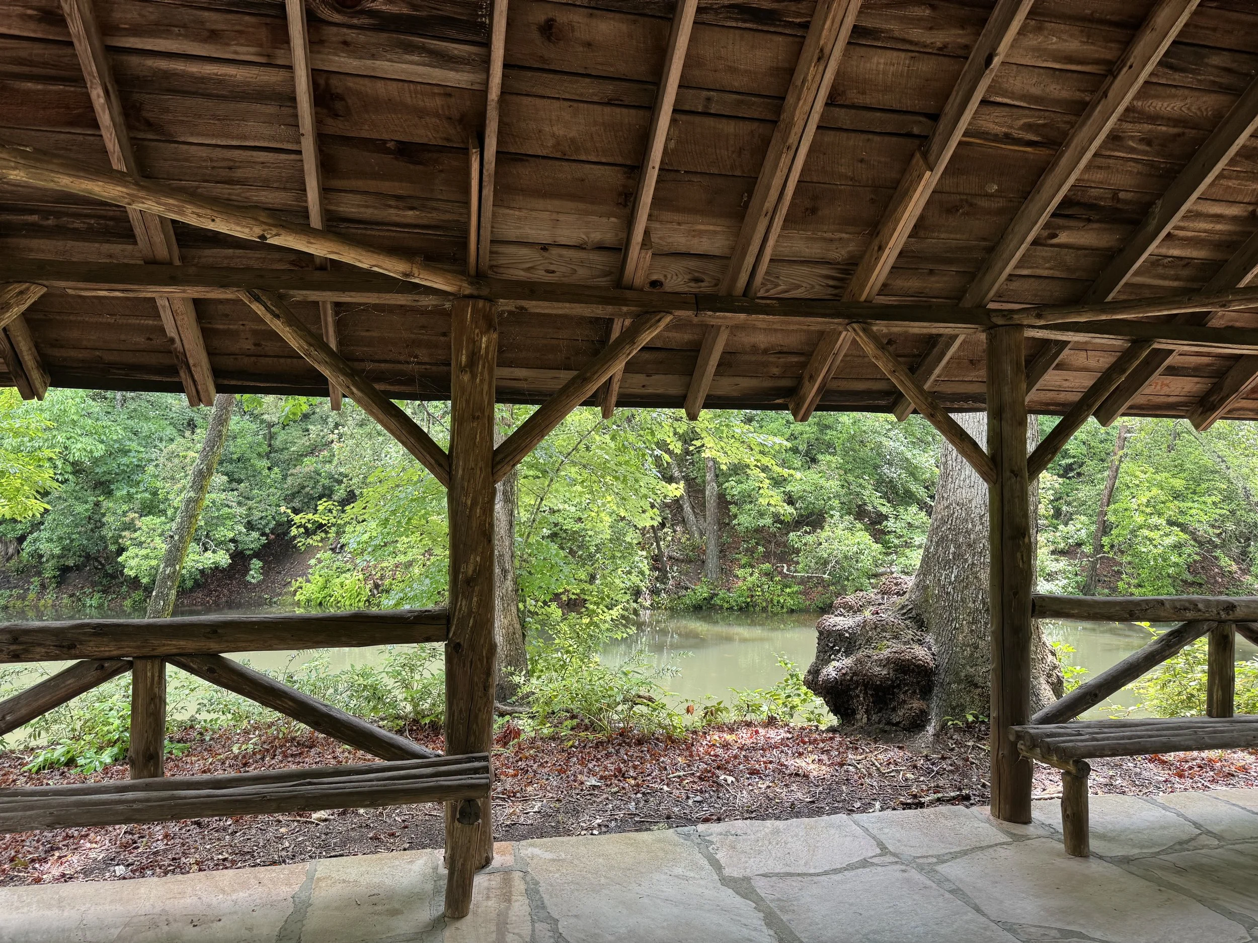 View of bog from pergola