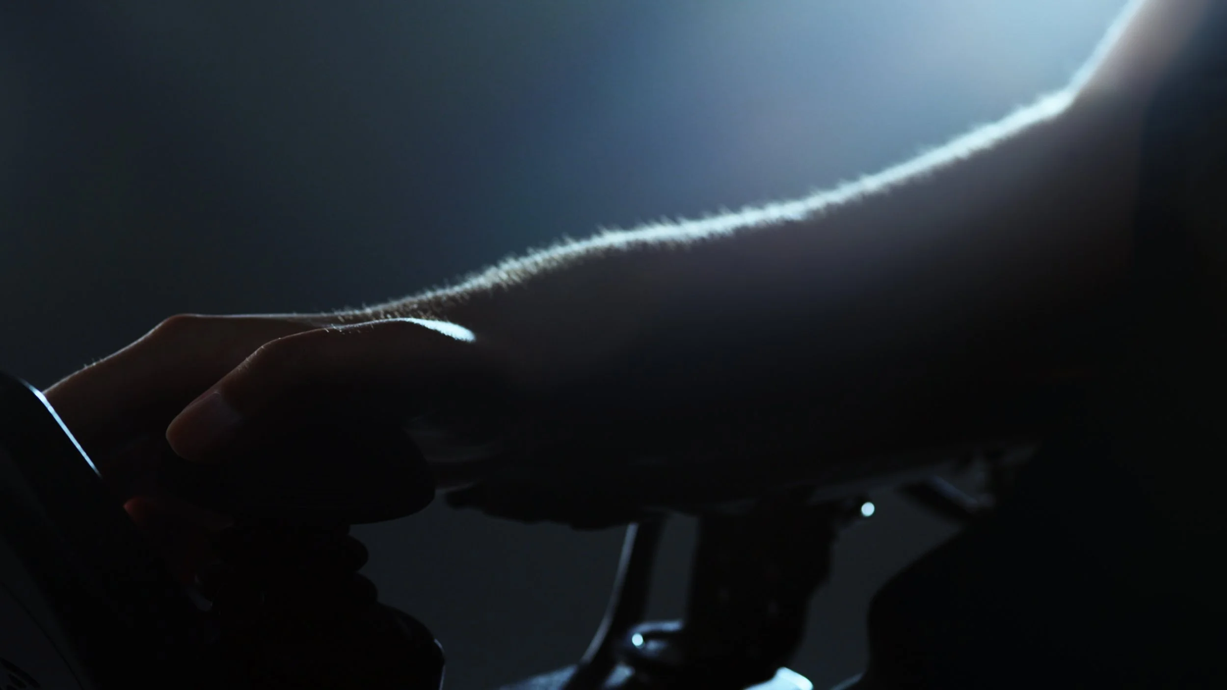 prerender_part_0831_4444Alpha (00577).jpg