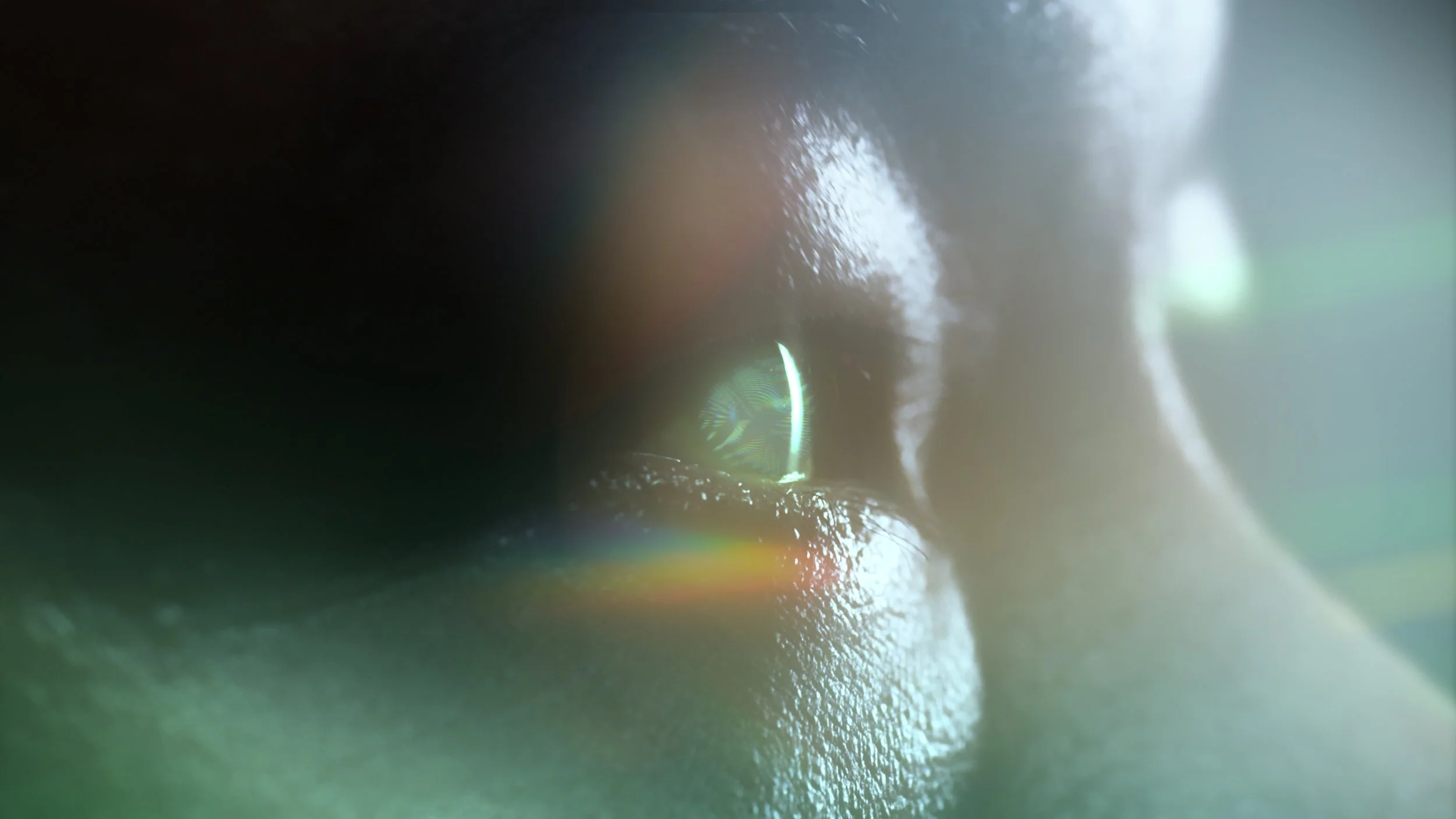 prerender_part_0831_4444Alpha (01341).jpg