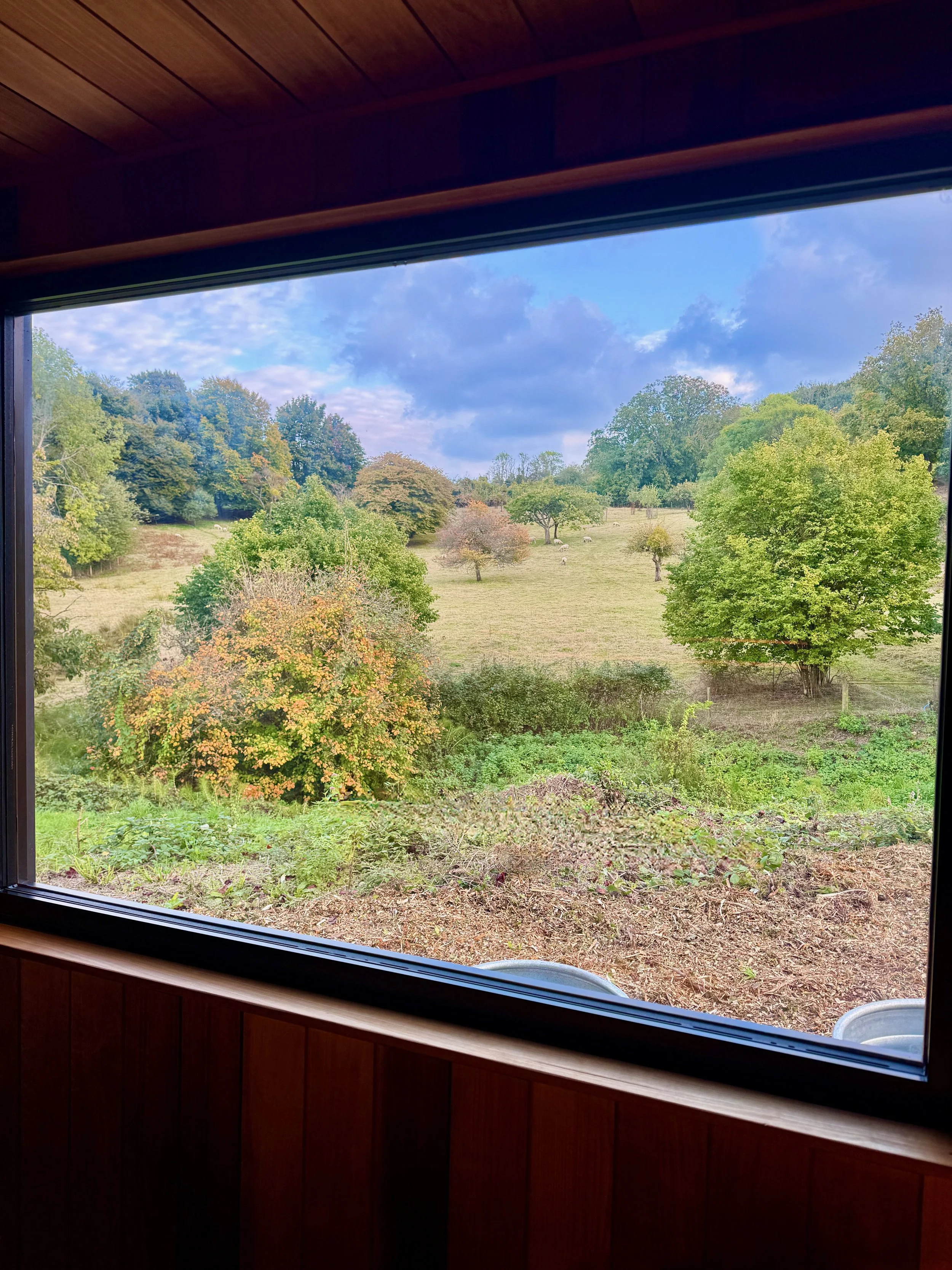 Mill Yard Sauna View.jpeg