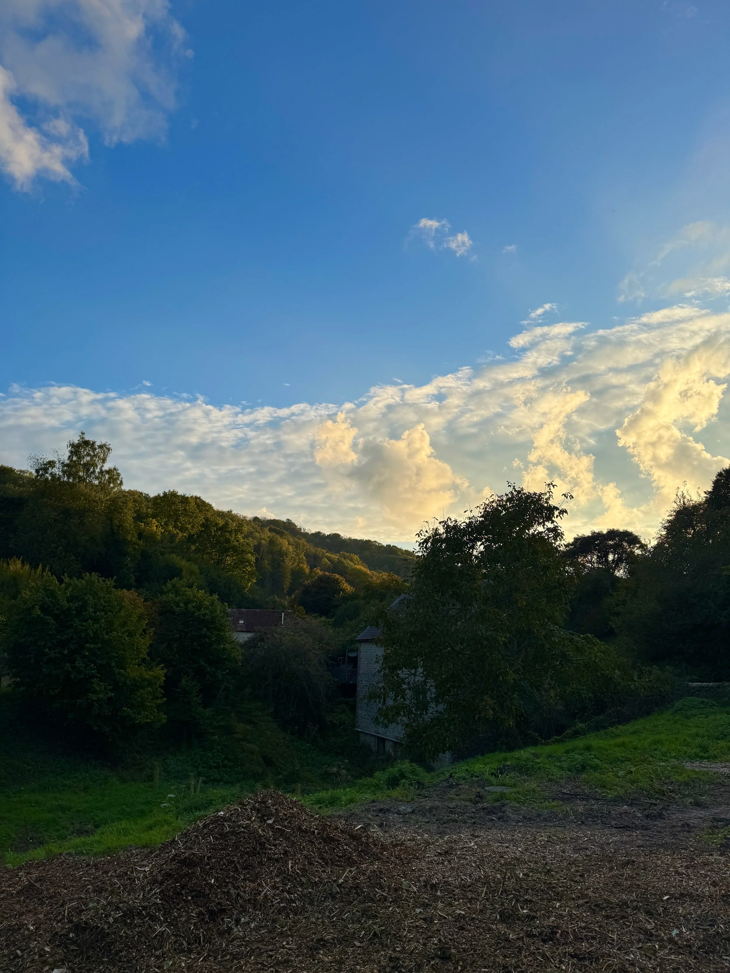 Mill Yard Sauna Mill View Sept .jpeg