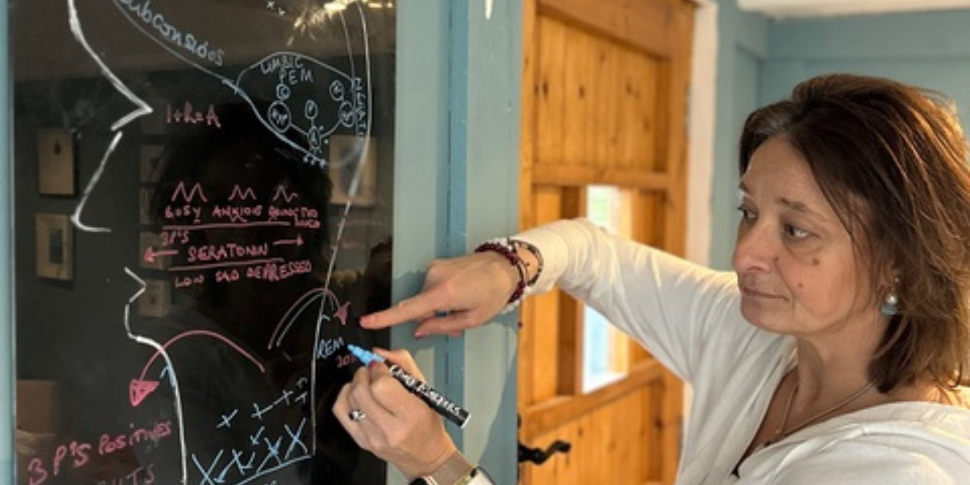 Your Brain Explained