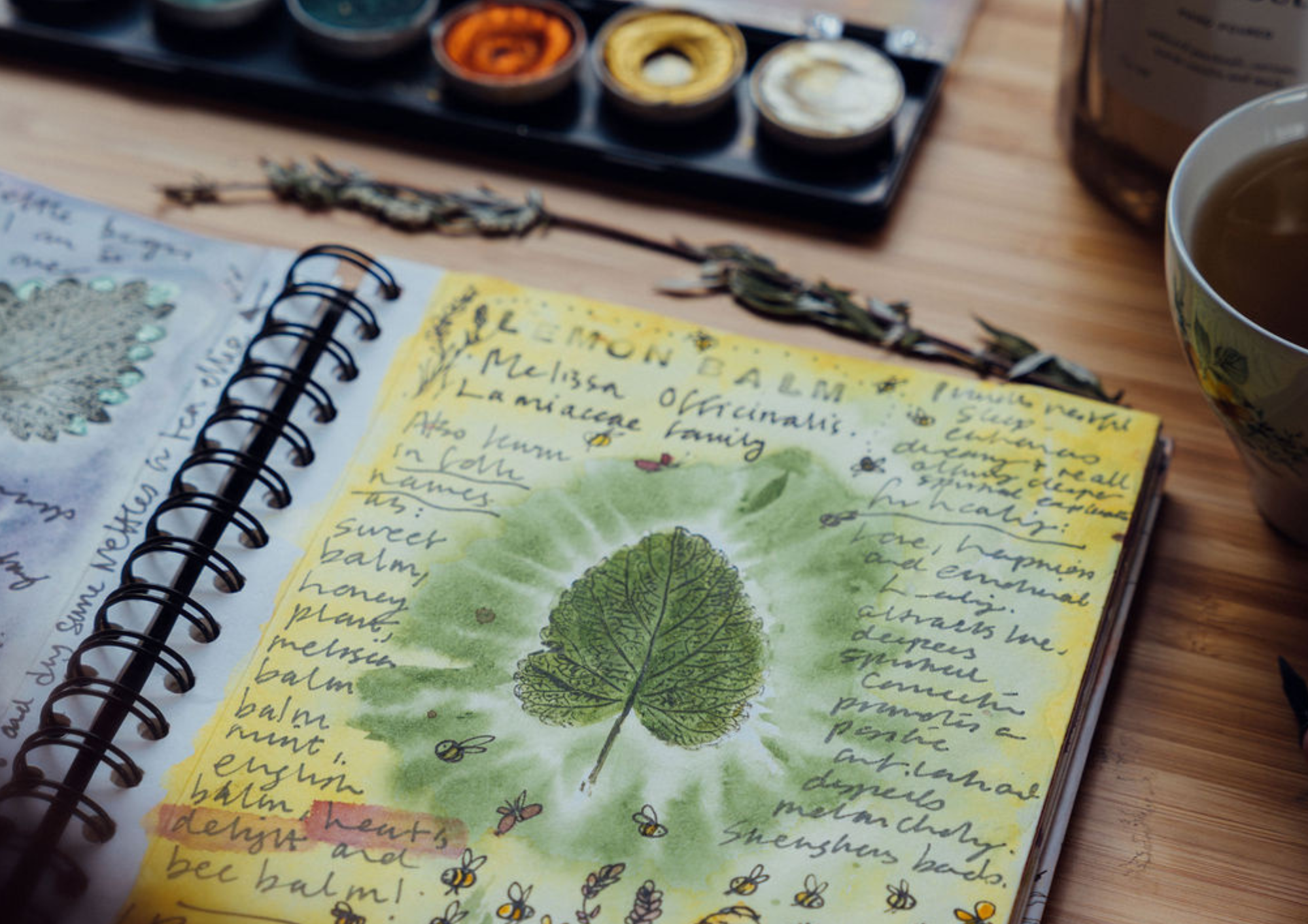Nature Journalling Workshop