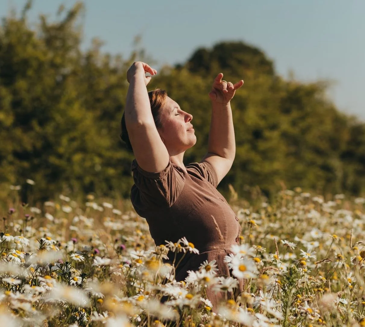 Seasonal Pauses: Summer