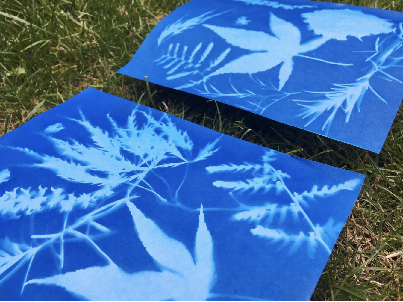 Drop-in family art morning: make magical sun prints