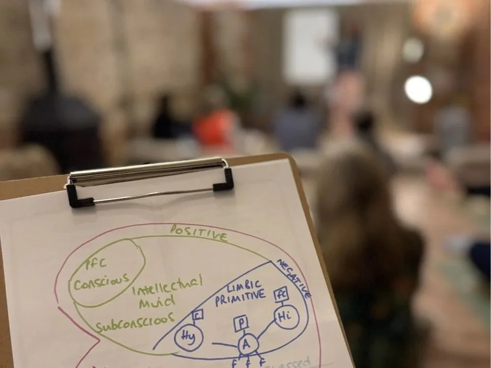 Your Brain Explained Hypnotherapy