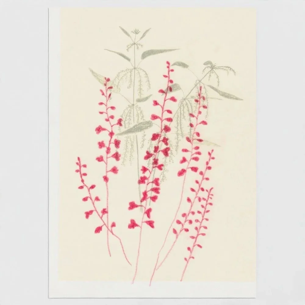 wild plant card 13 x 18 cm