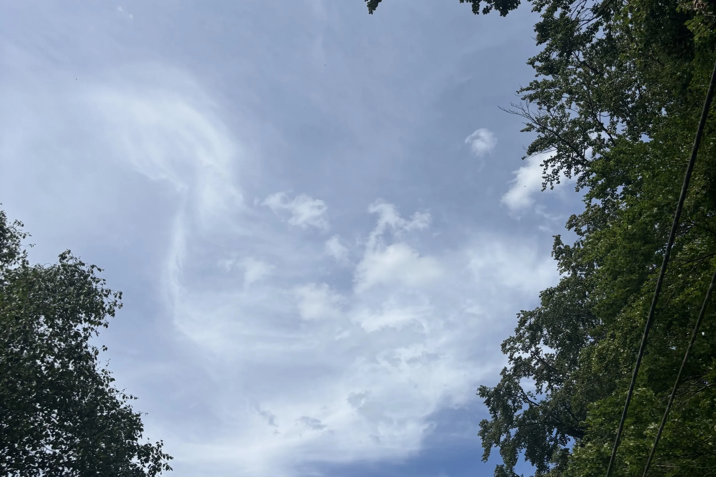 IMG_4172.jpeg