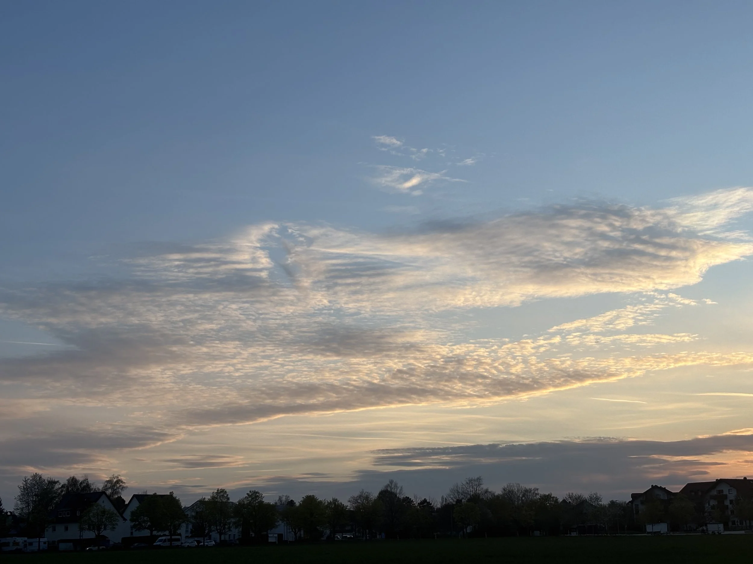 IMG_3154.jpeg