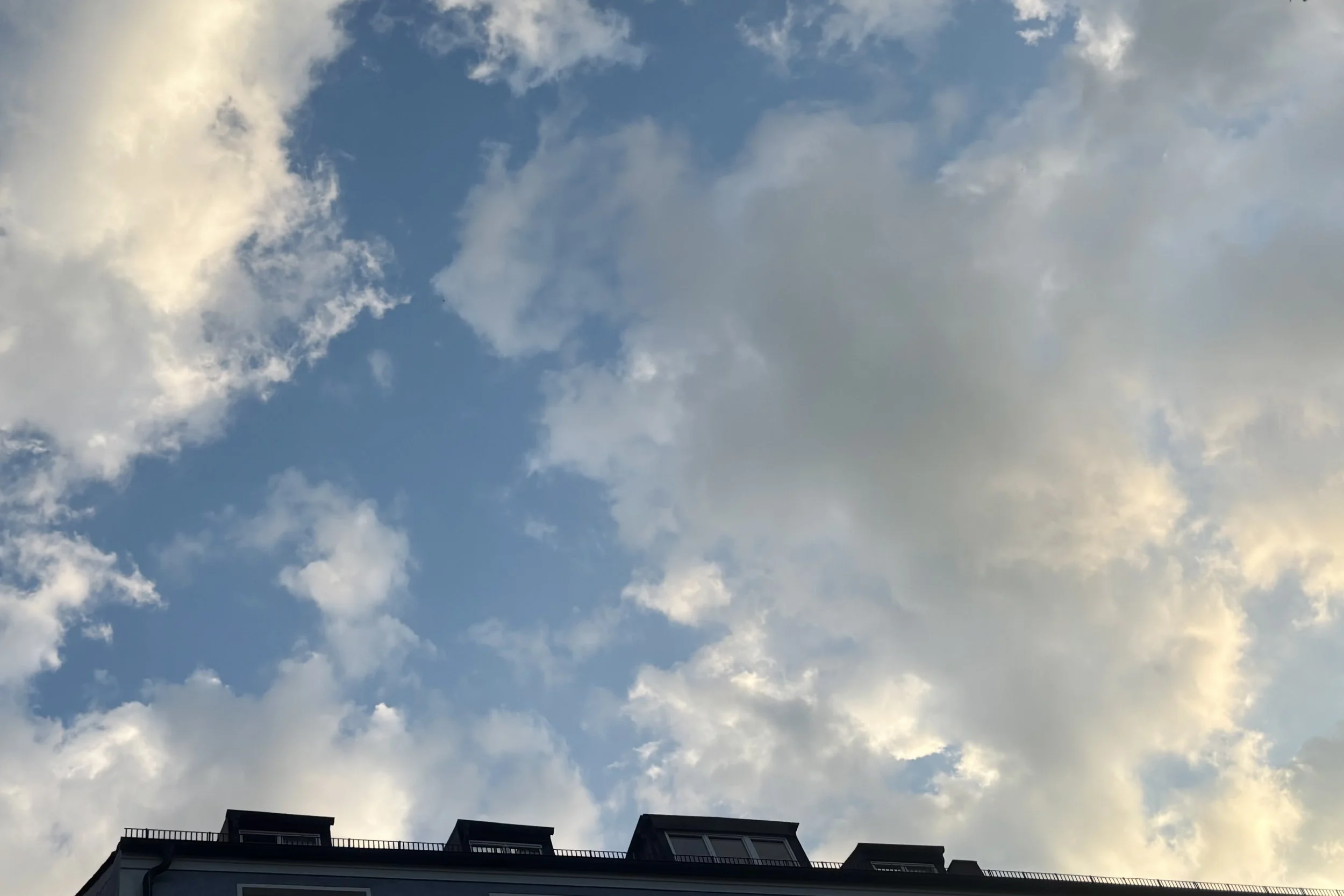 IMG_3139.jpeg