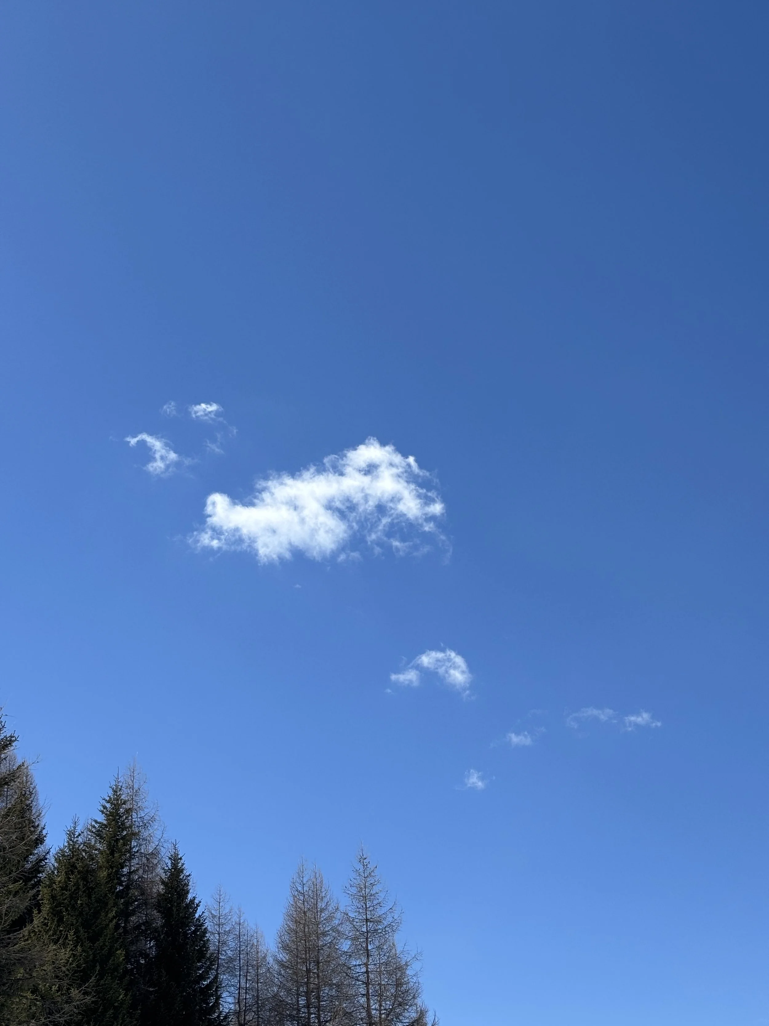 IMG_2913.jpeg