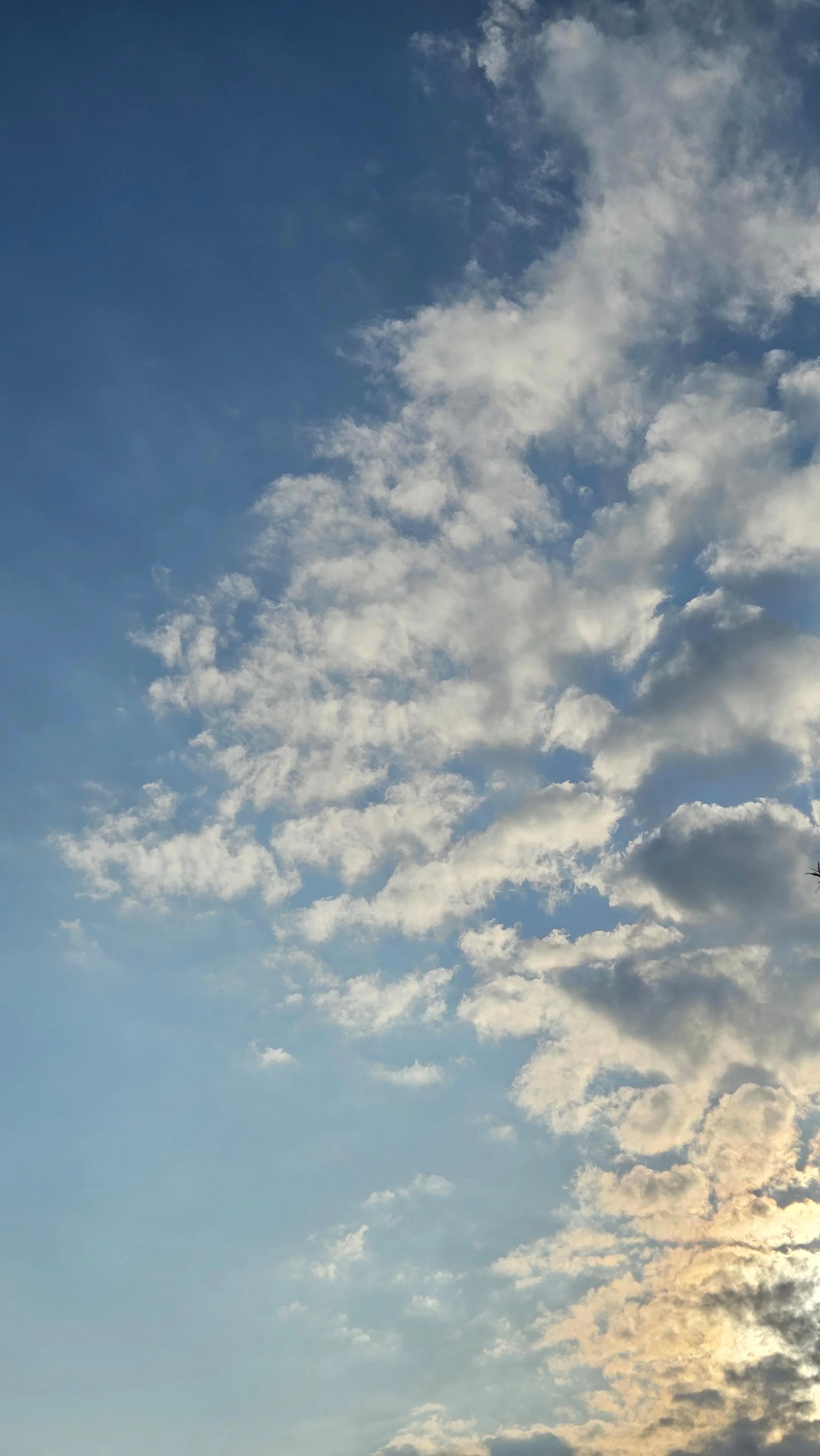 DA0A26CF-B054-4BA7-B538-449E57B82F74.jpeg