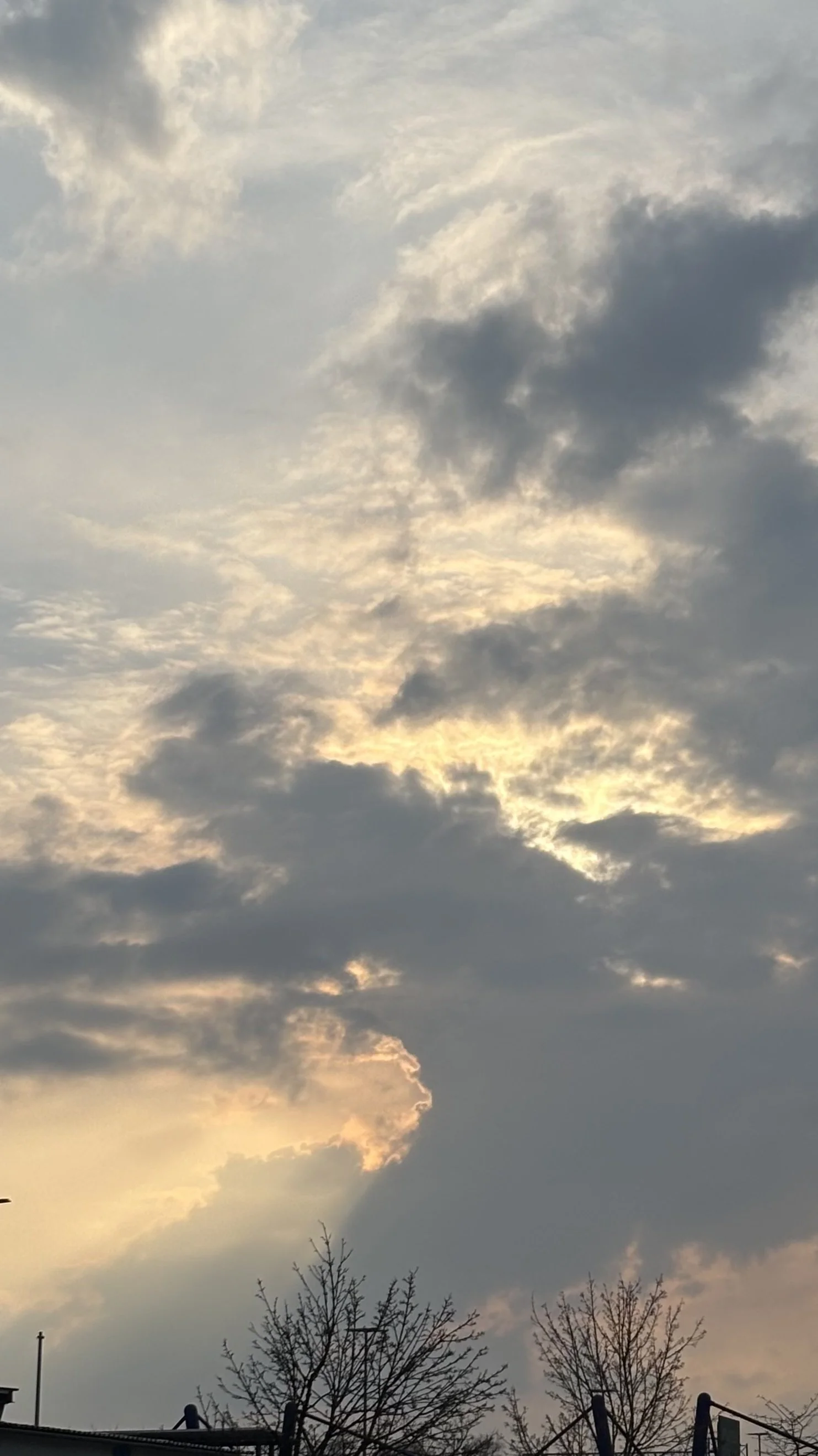 IMG_2722.jpeg