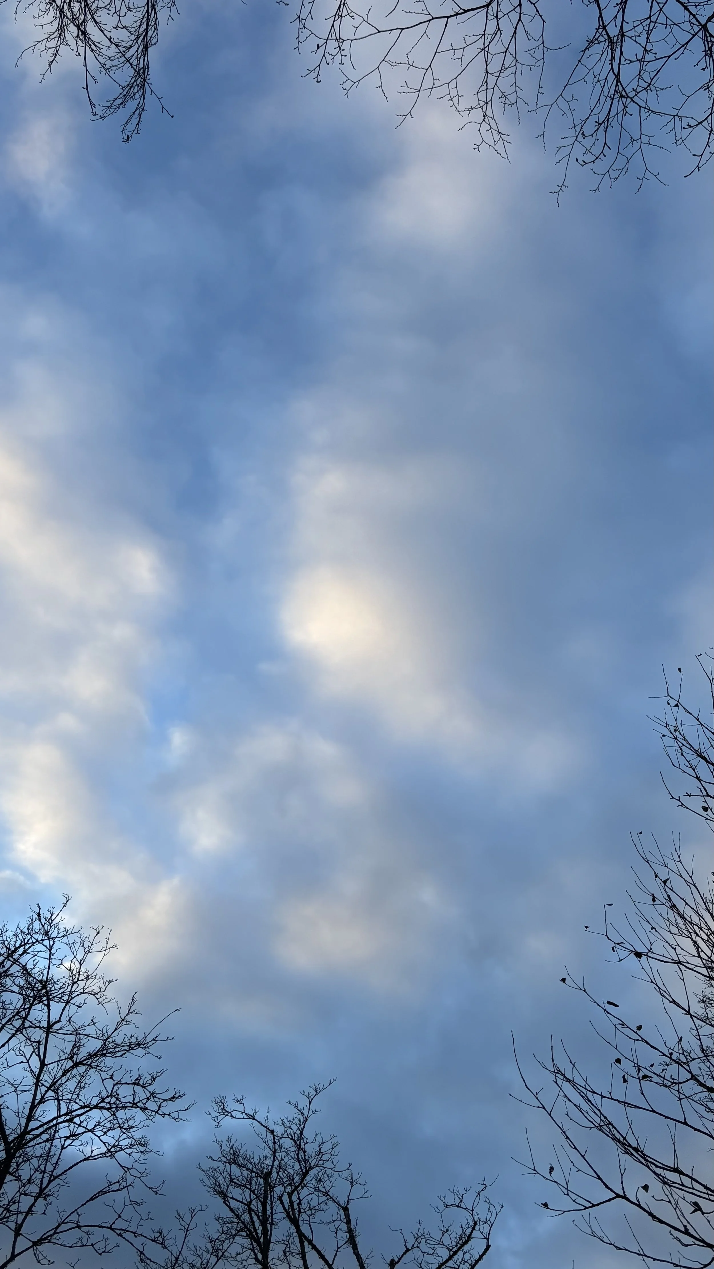 IMG_2143.jpeg