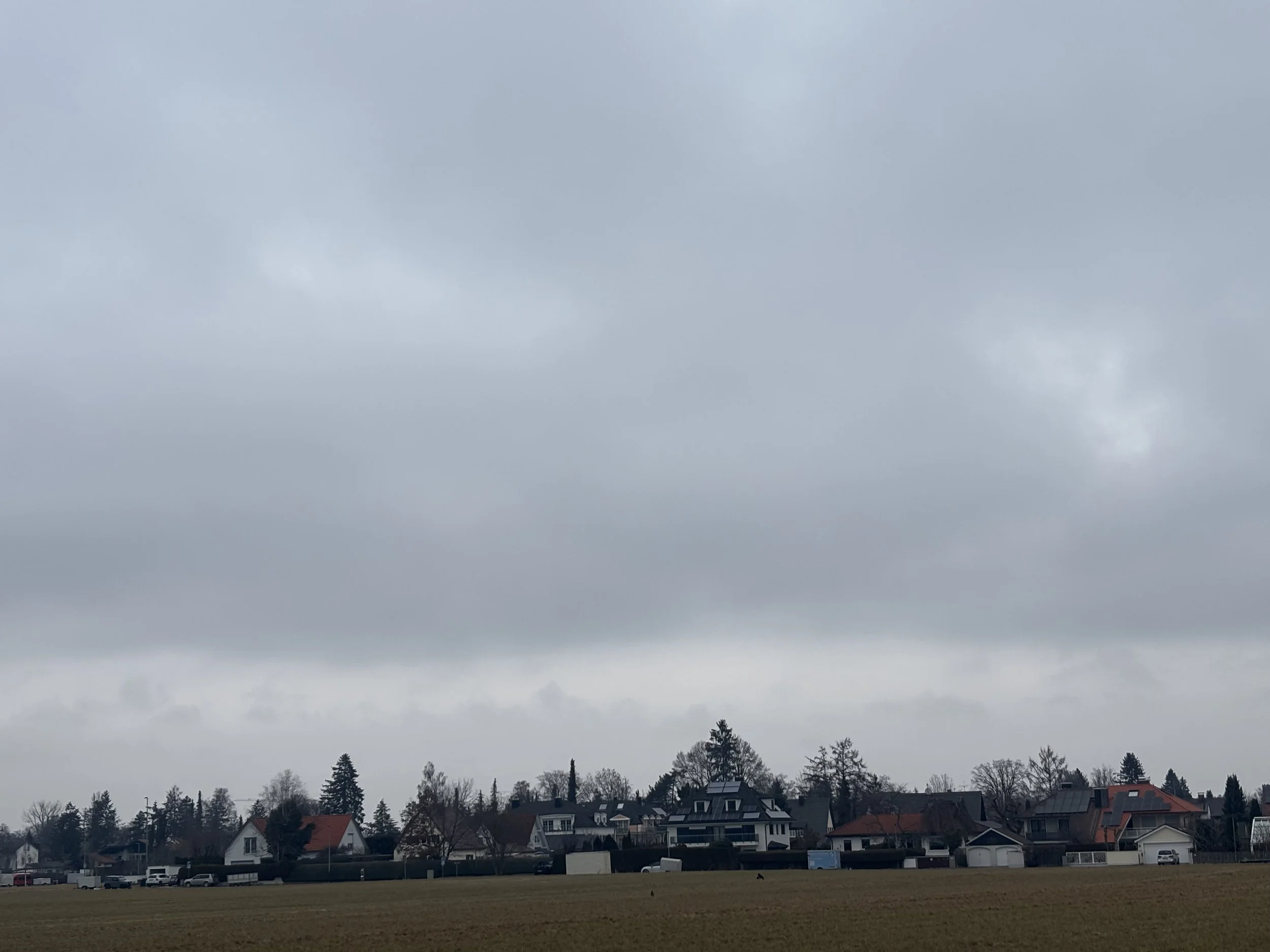 IMG_1979.jpeg