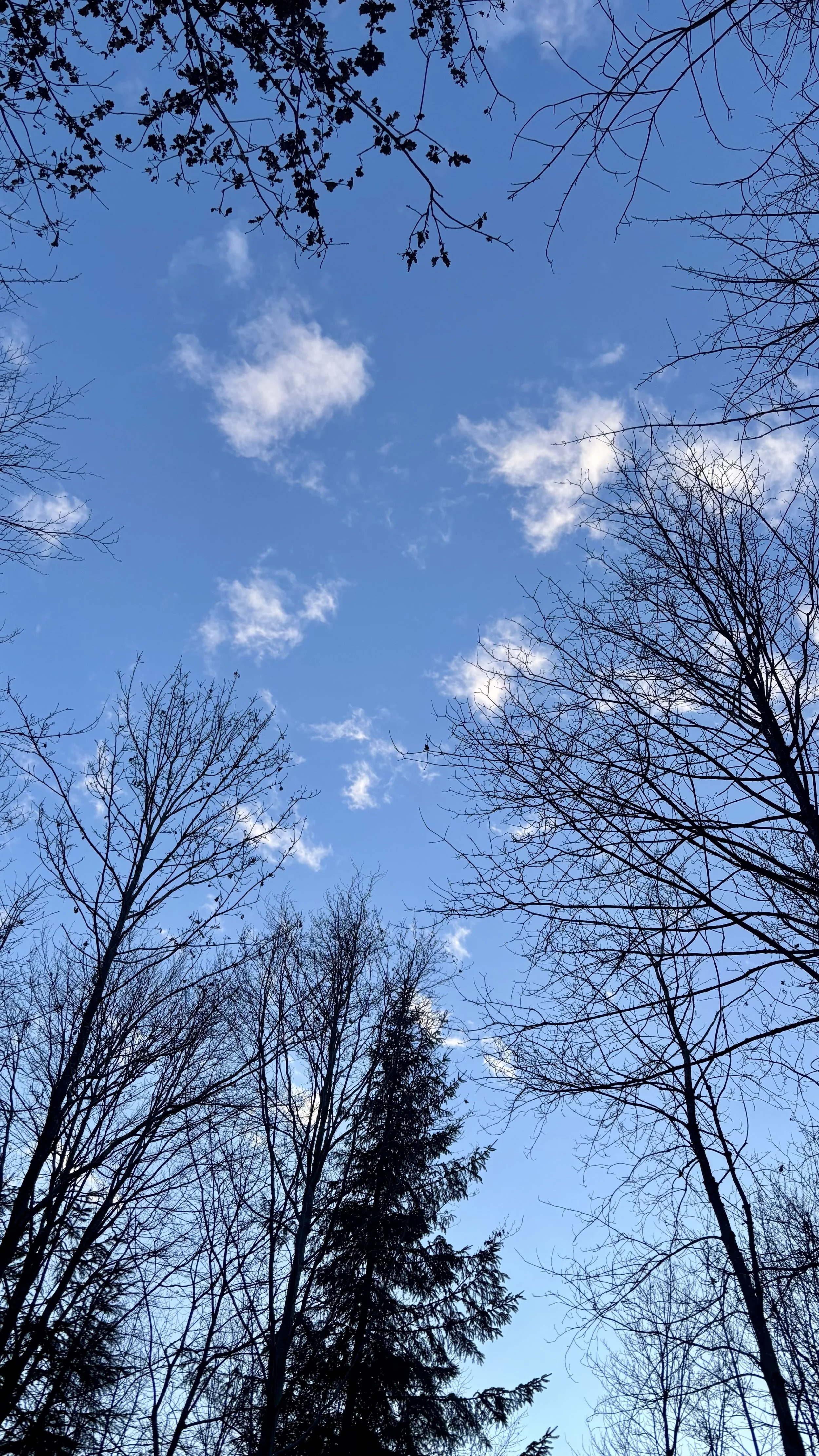 IMG_1959.jpeg