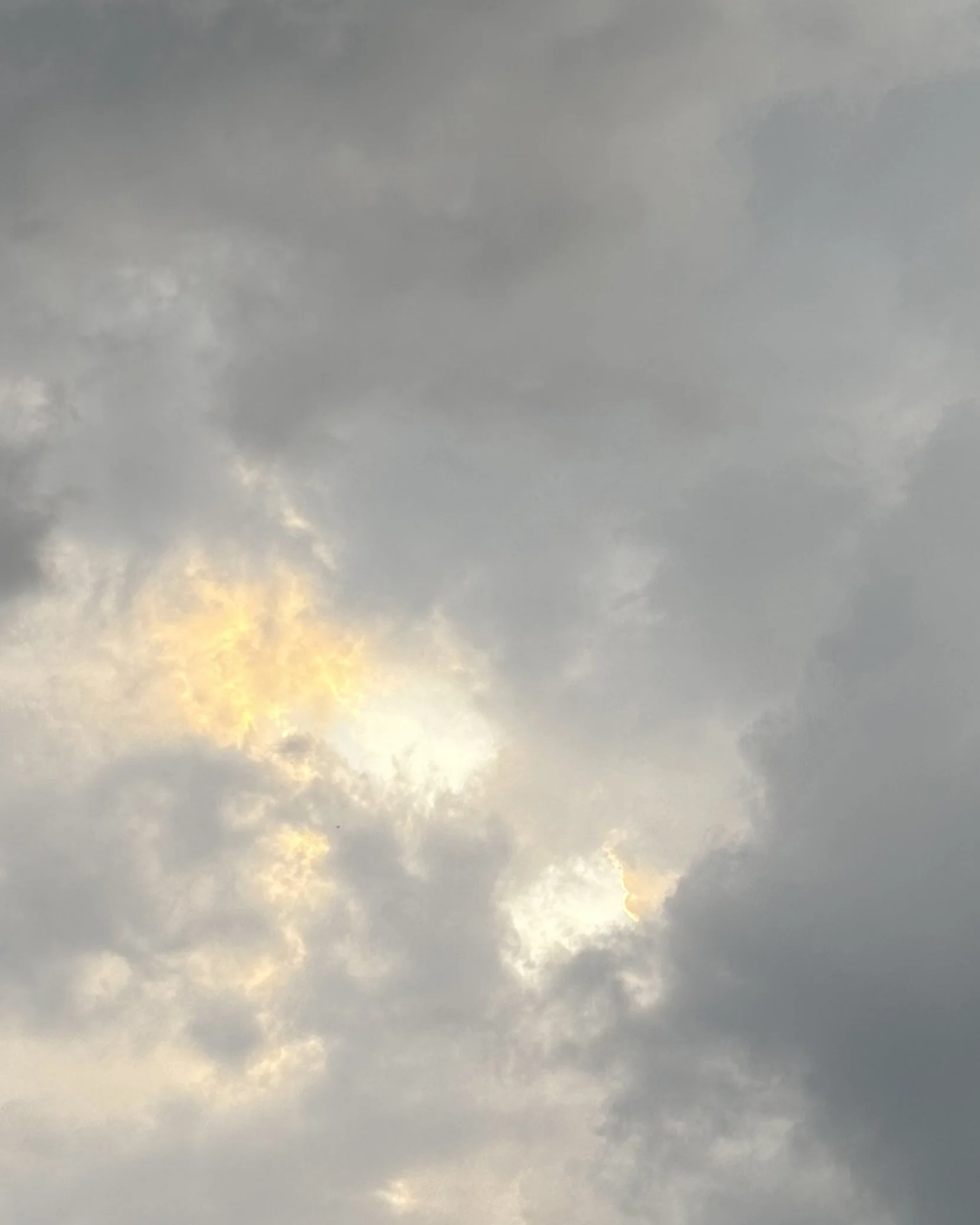 IMG_8817.jpeg