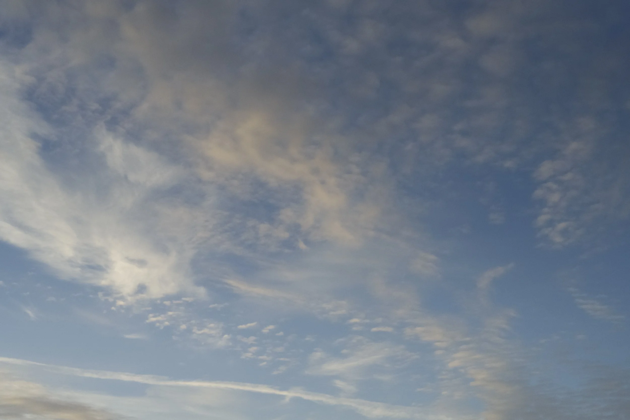 Z70_9531.jpeg