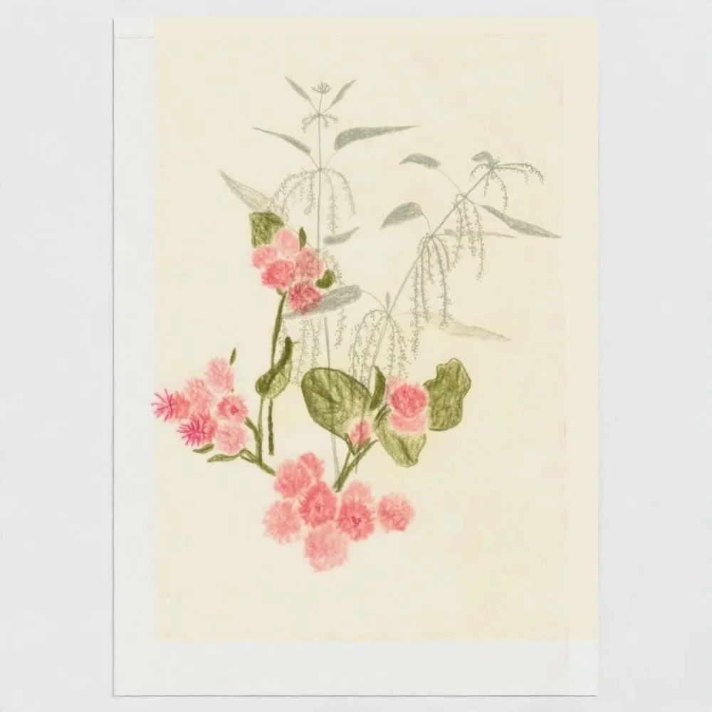 wild plant card 13 x 18 cm