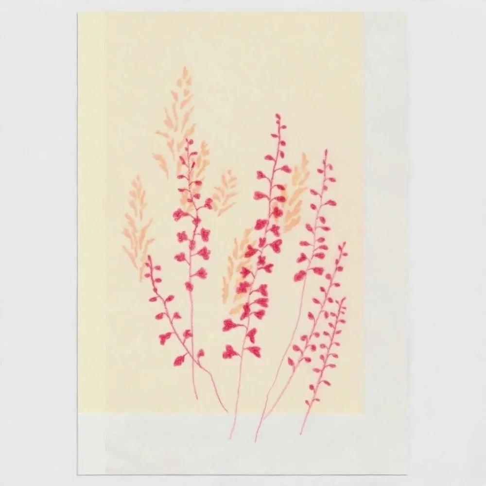 wild plant card 13 x 18 cm