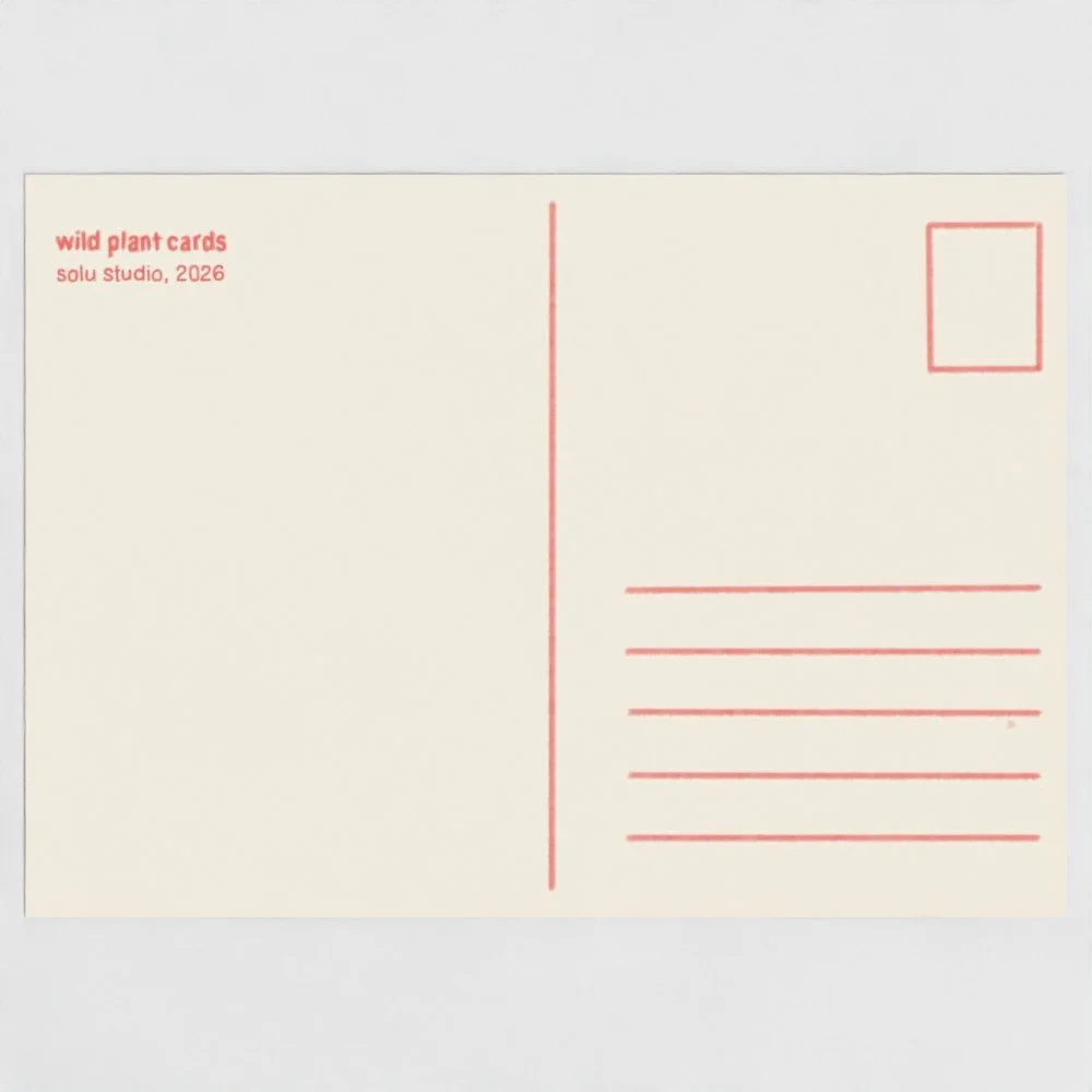 prodigi-GLOBAL-POST-GLOS-7X5-style_single-finish_gloss-papertype_fine art card-substrateweight_280gsm-4.jpg
