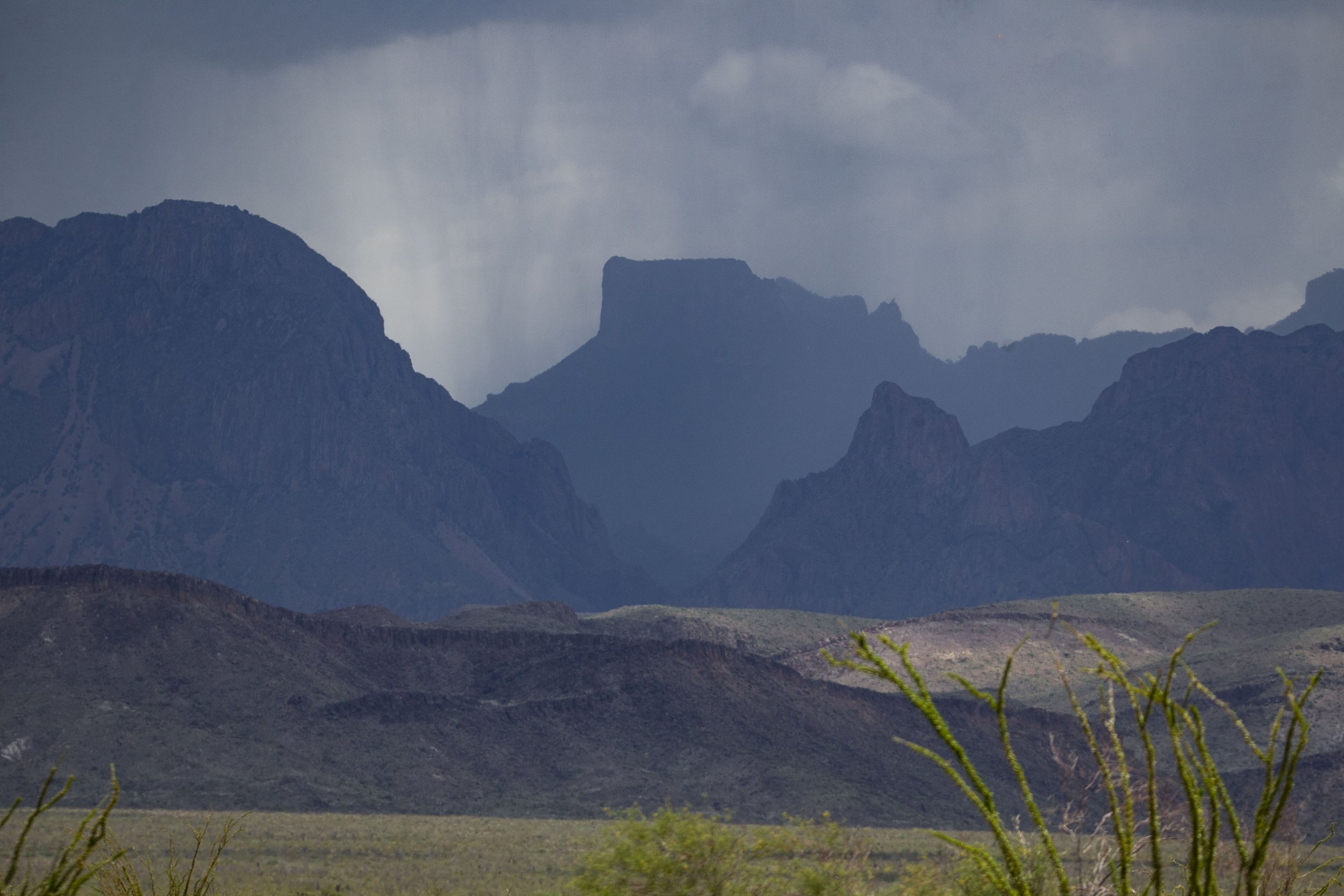 Wall Threatens Big Bend Wildlife