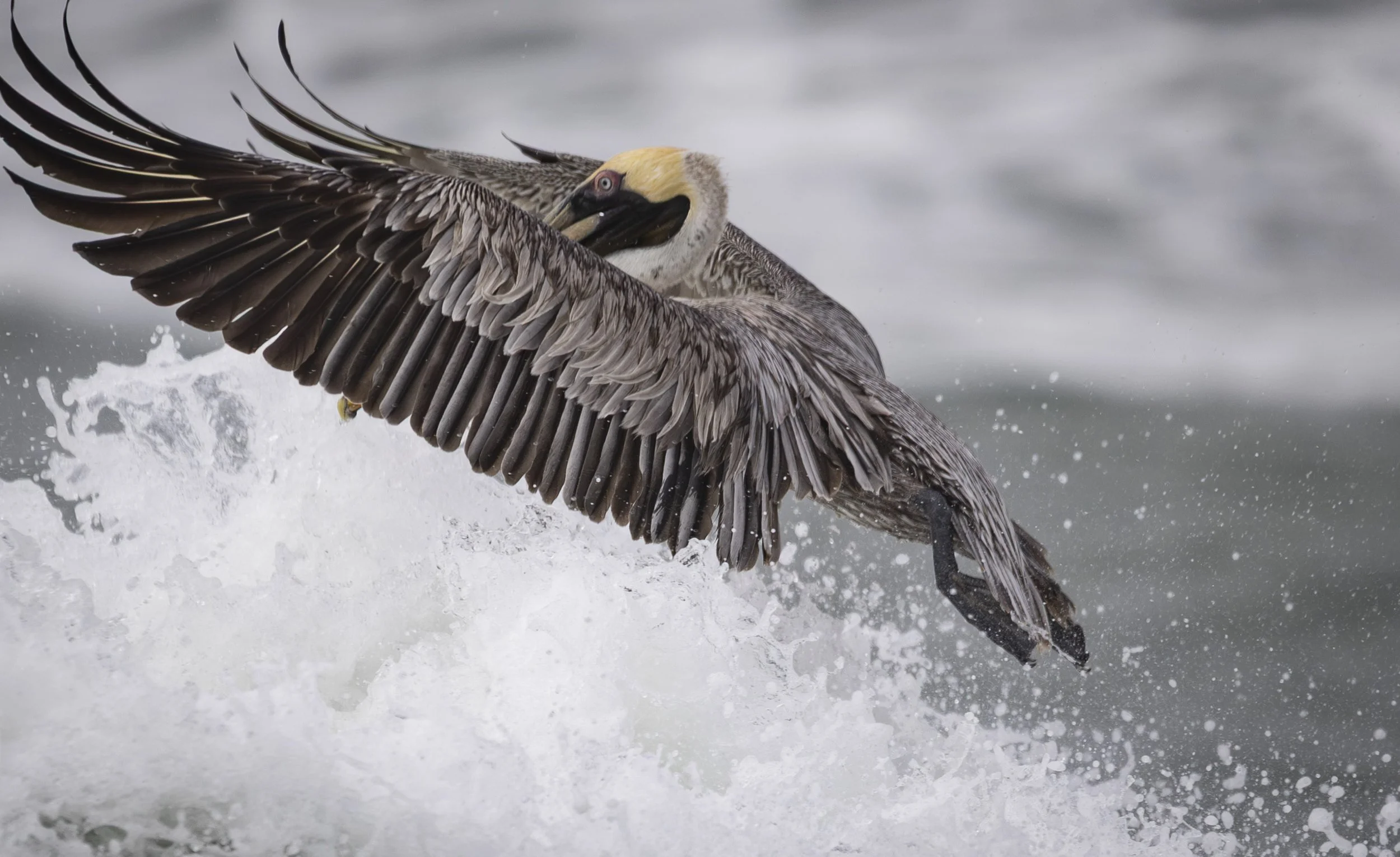 Field Trip to Port A