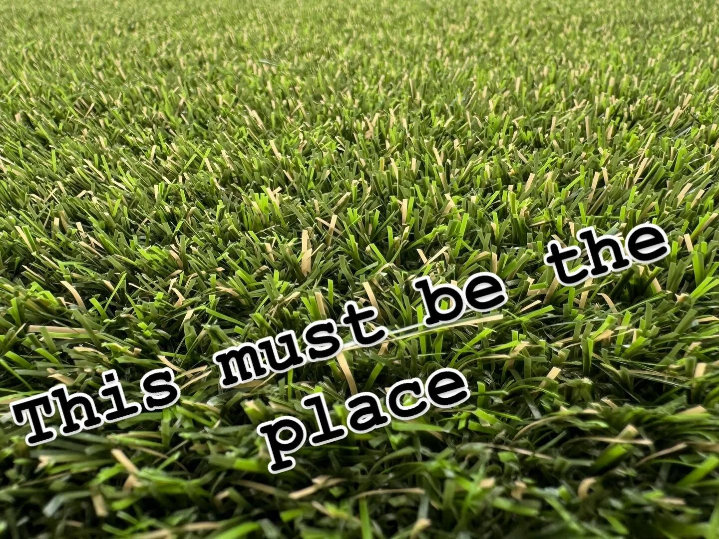 🌴 Miami yards, leveled up.
At ForeverLawn Miami, we bring lush, low-maintenance turf to homes, businesses, and everything in between. From backyards to rooftop lounges &mdash; we&rsquo;ve got you covered. 💚🌱

#ForeverLawnMiami #LuxuryTurf #MiamiLi