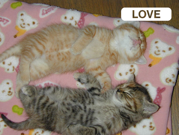 Digital Love Languages: How Technology Is Changing the Way We Express Affection