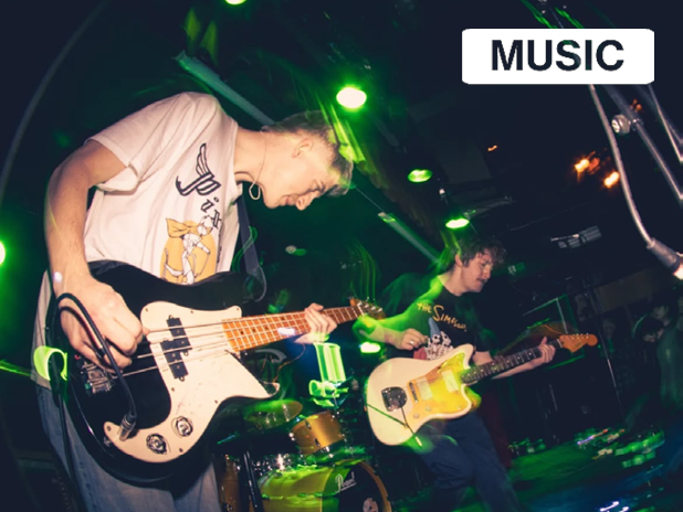 Green Curtain Project: Wifeswap