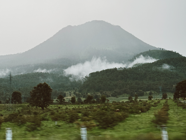 Slow Living: Choosing Presence Over Productivity