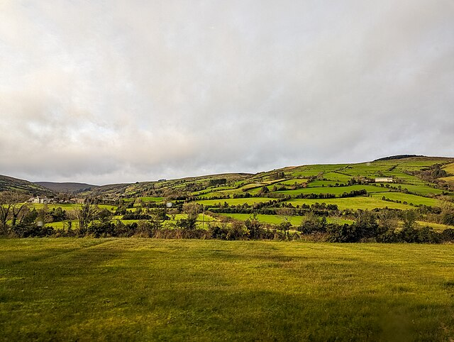 Is Gen Z building the new ‘Gaeltacht’?