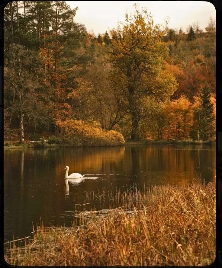 A Love Letter to Autumn for the Girls Who Dread It