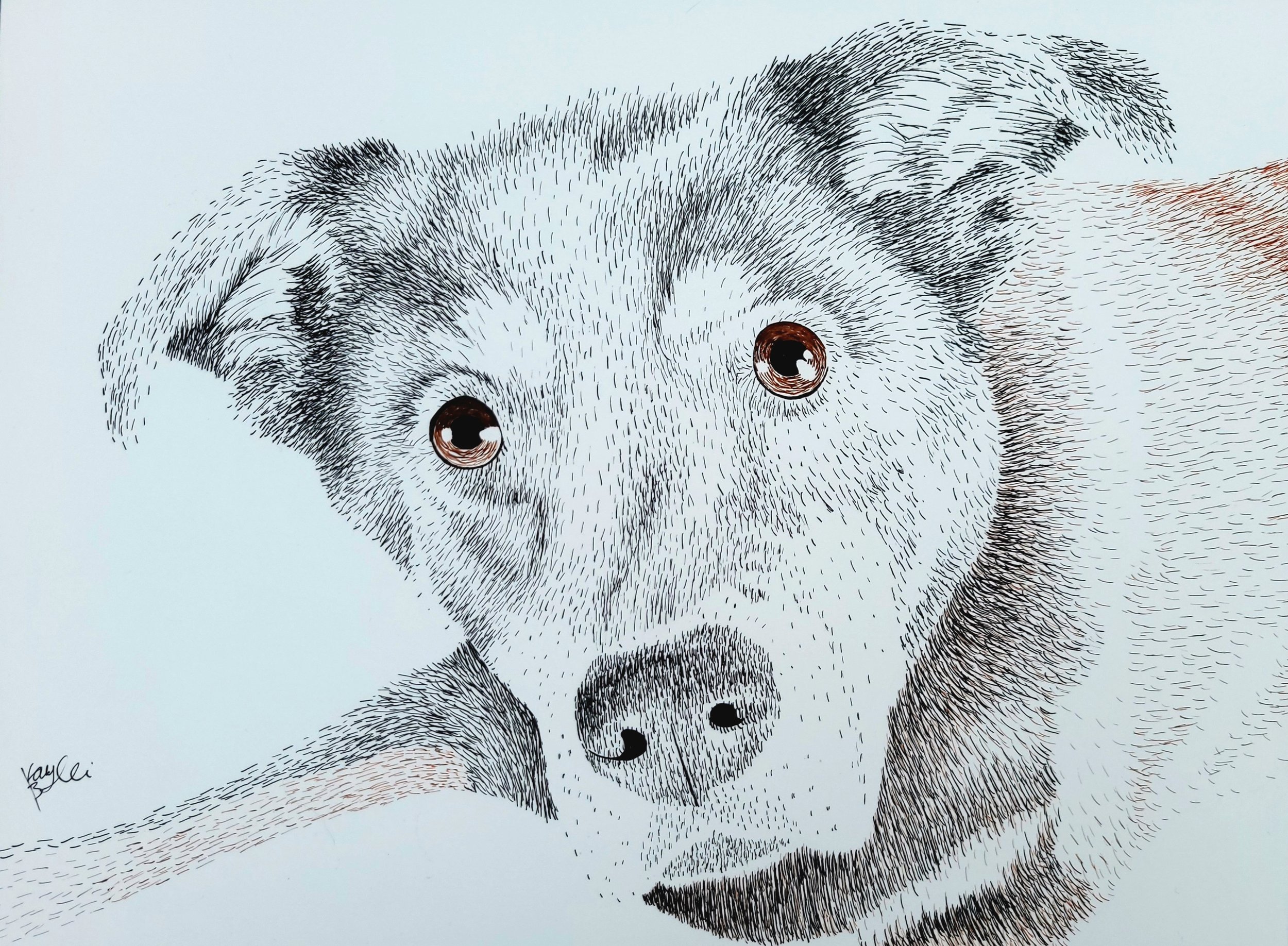 Roxy done with Black and Light Brown.