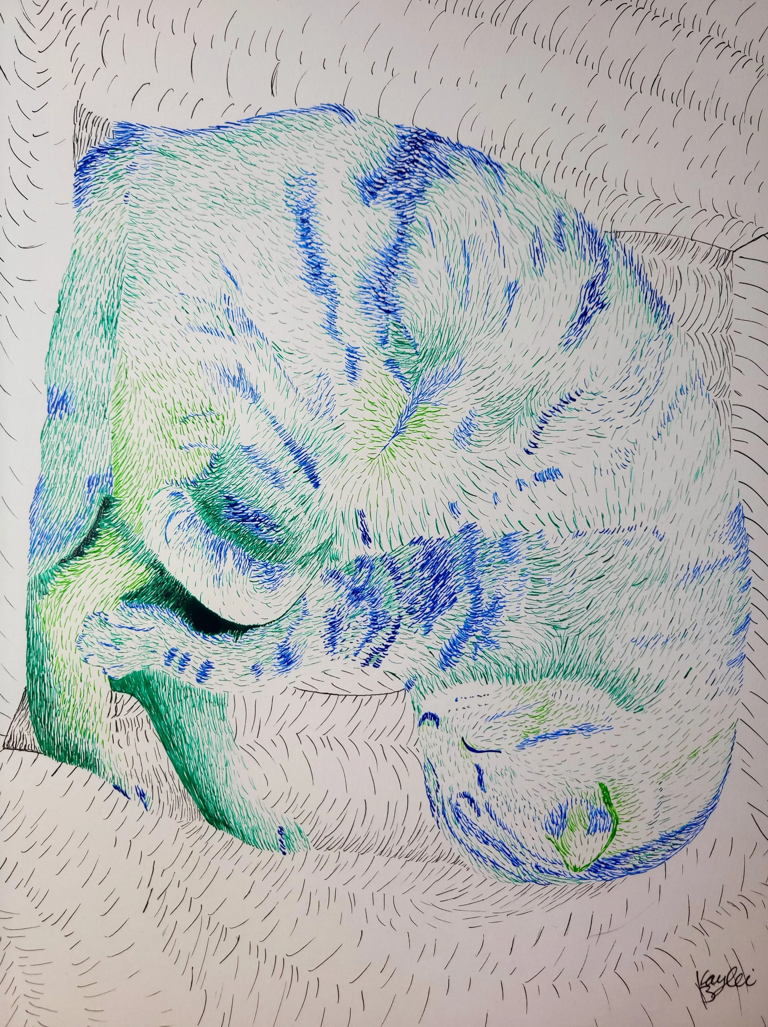 Stripe Kitty done with Blue, Green, and Grass Green.