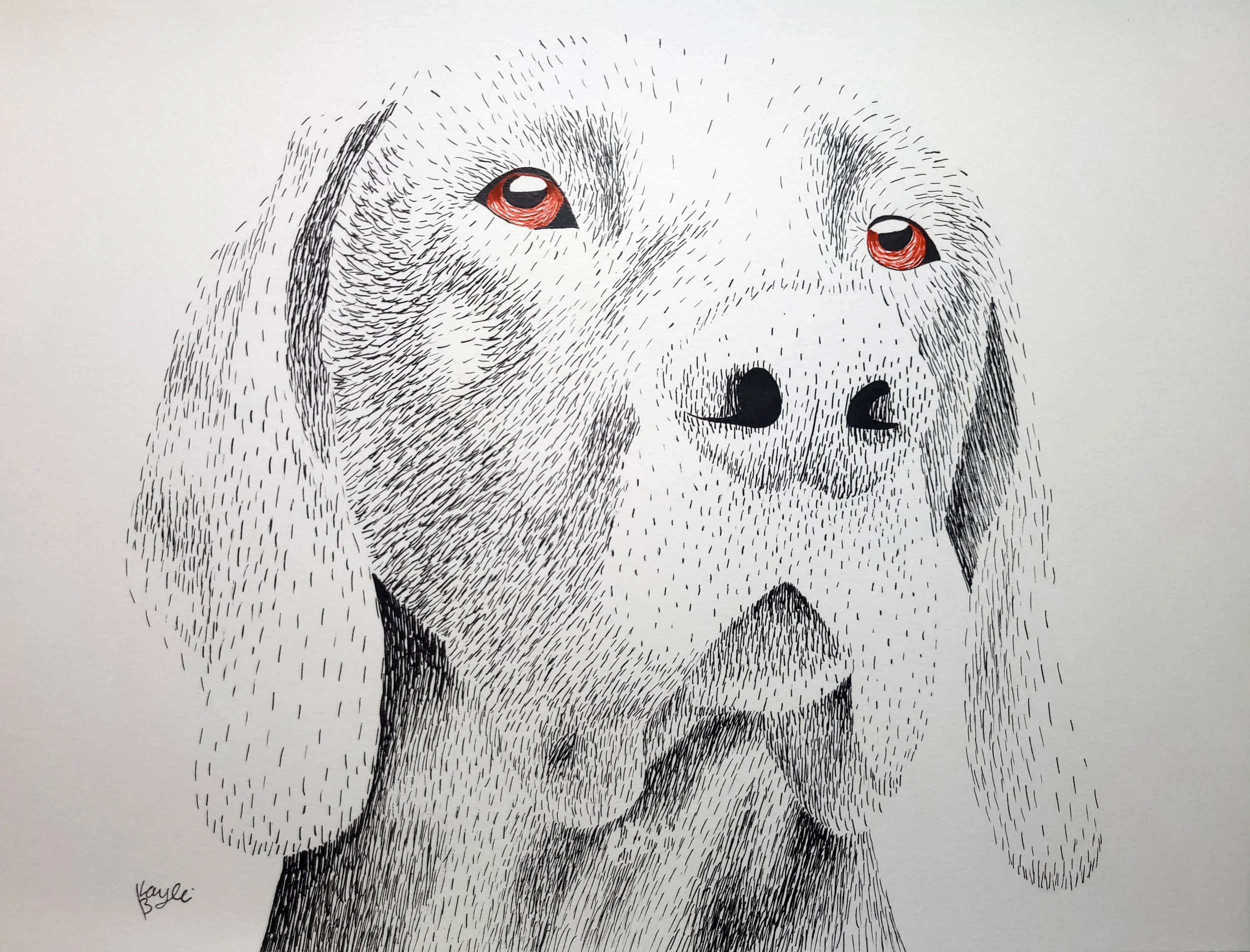 Hubi made with back.