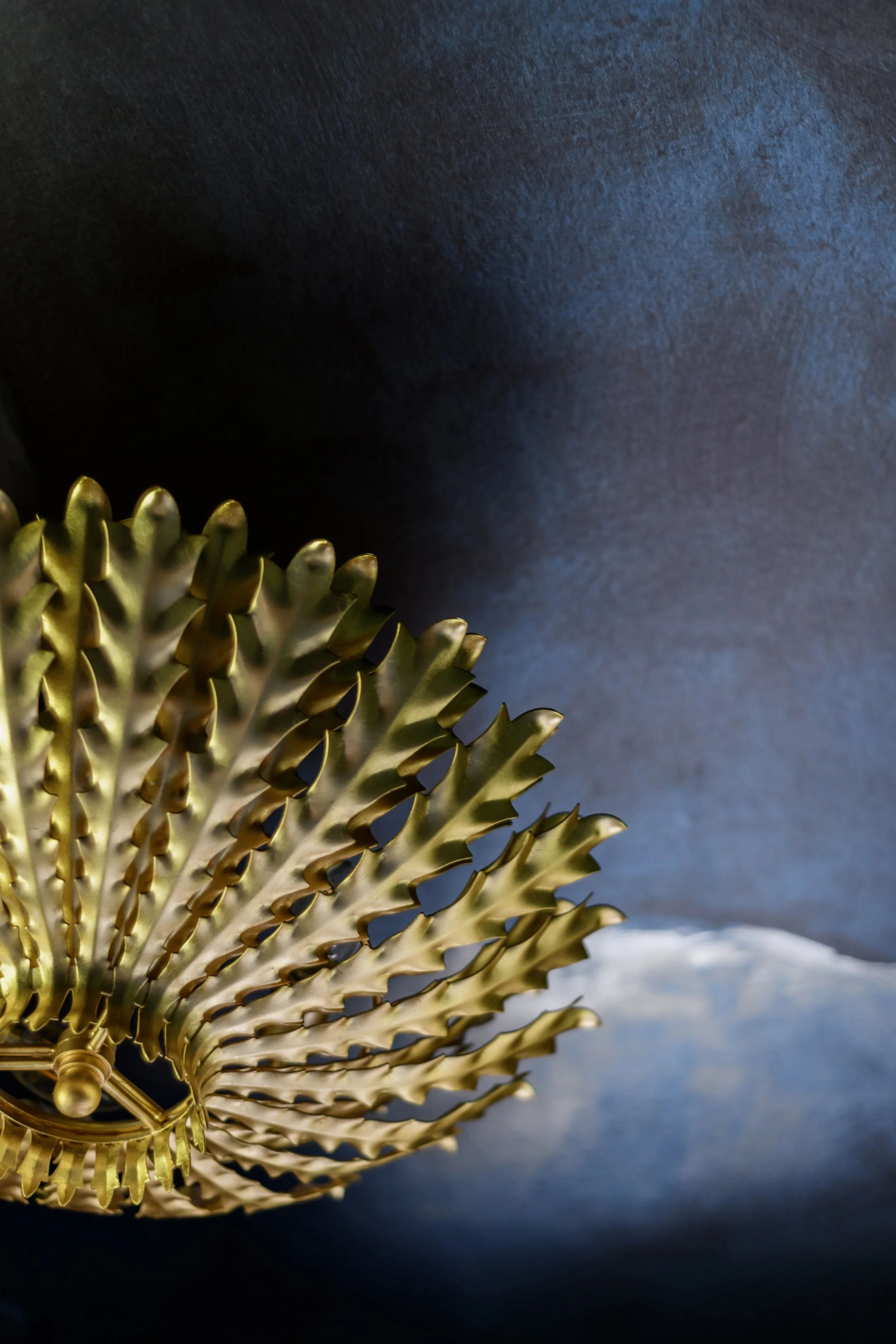 Copy of Color&Crown_5-26-26_(c) Meghan Balcom Photography_HI-RES-20.jpg