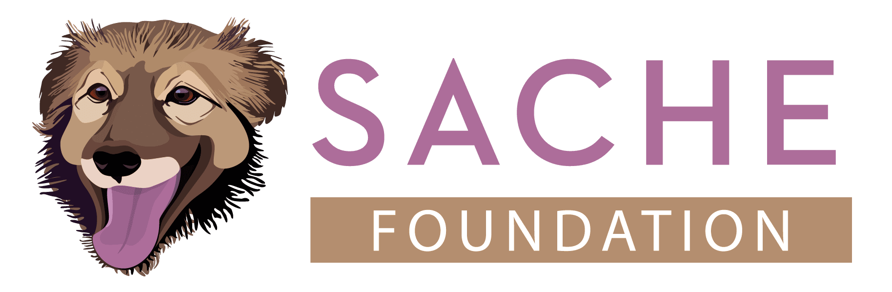 Sache Foundation (Romania)