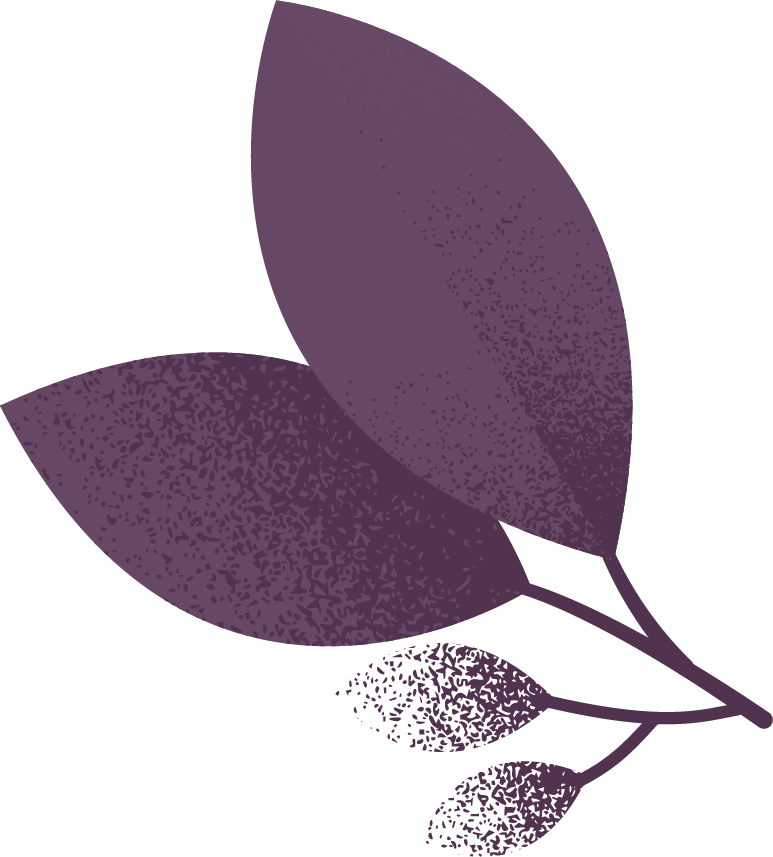 Illustration of a purple branch with three large leaves and two smaller buds.
