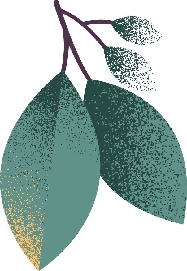 Illustration of three green leaves and three smaller dark green leaves on purple stems against a black background.