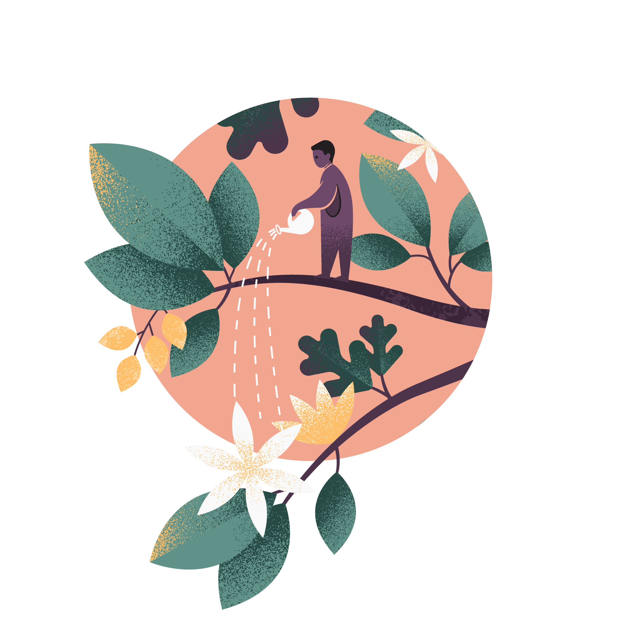 Person watering a plant on a tree branch with large green leaves and white flowers against a pink background