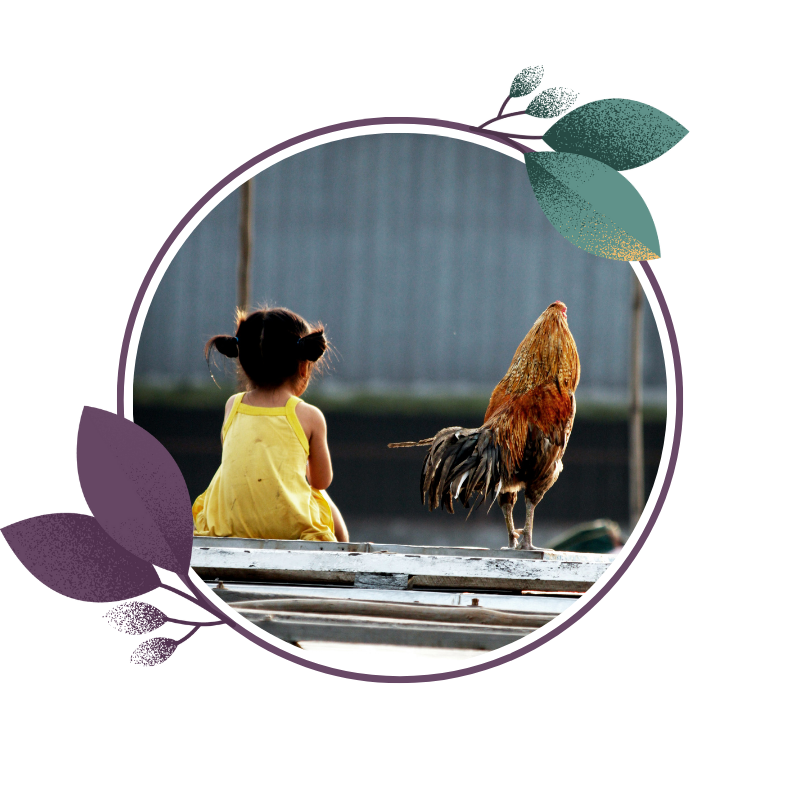 A young girl with black hair in pigtails, wearing a yellow dress, sitting and looking at a rooster on a wooden surface outdoors.