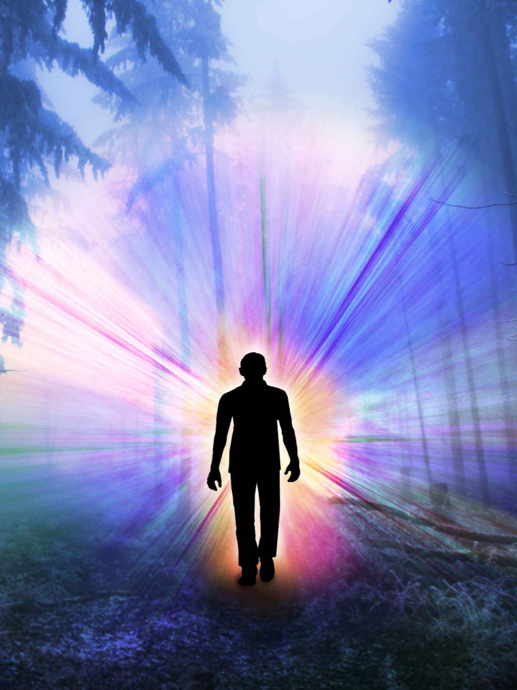 Silhouette of a person walking toward a bright, colorful light in a misty forest.