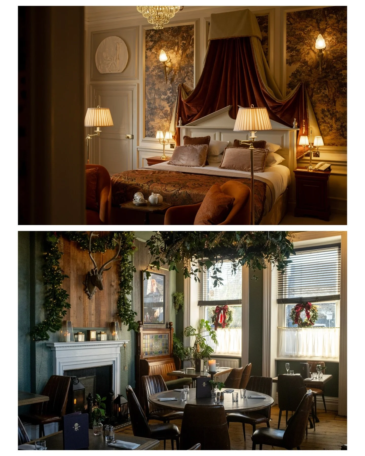 Oh, just beautiful. Some shots from a December shoot with @_theroyalhotel_ ✨

@christinajanesixtonbrend &amp; @noah_sixtonbrend vision for this hotel is EXACTLY my vibe. It was such a pleasure to capture their new, incredible interiors designed by th