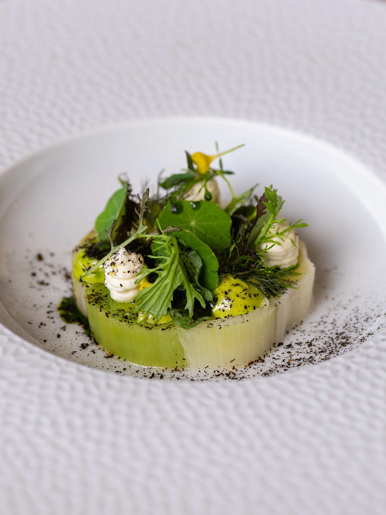 Elegant plate with a large circular slice of celery topped with mixed greens, herbs, and small dollops of creamy white sauce, garnished with black pepper and a drizzle of olive oil.