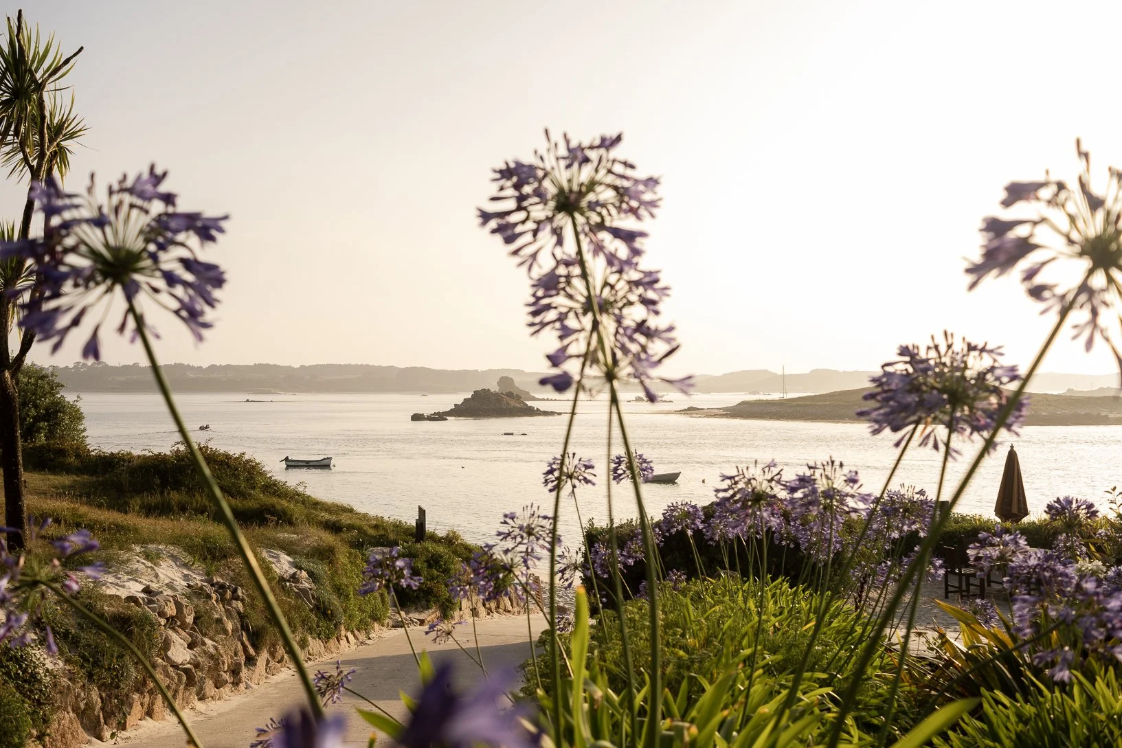 A scenic view of a shoreline at sunset with purple flowers in the foreground, boats on the water, and a rocky island in the distance.