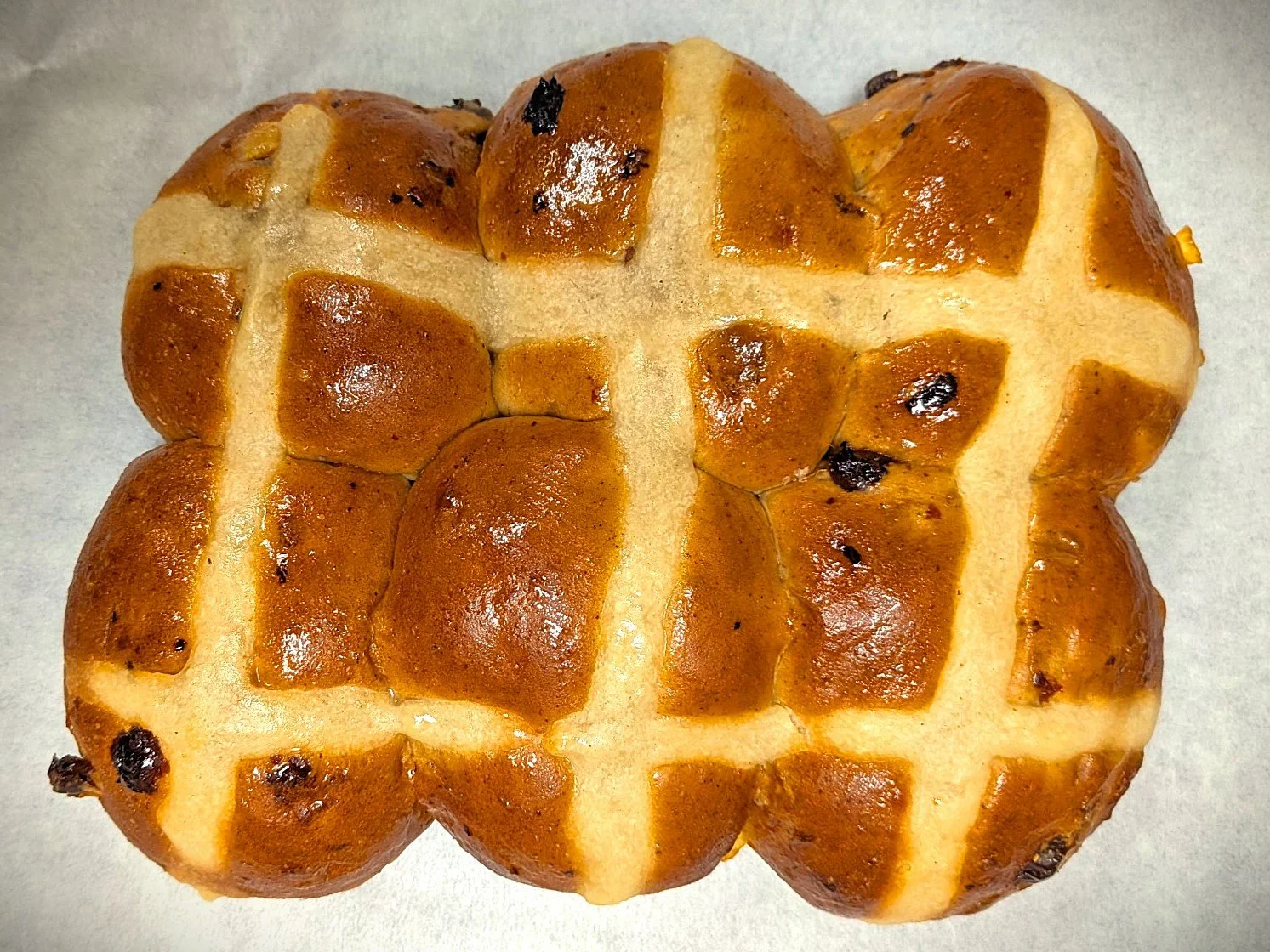 Hot Cross Bun Cluster Case 6PK x 18