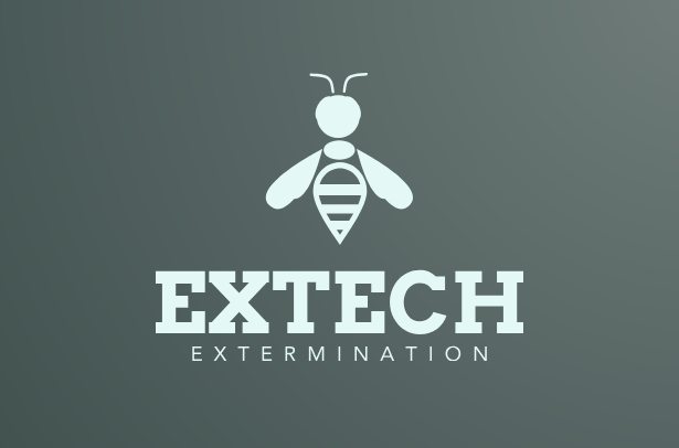 A stylized bee logo above the text 'EXTECH EXTERMINATION' on a dark gradient background.